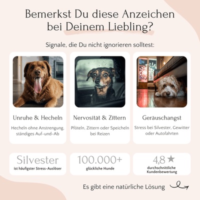 Drei Hunde sind gestresst; FAVLY Petfood RELAX Pulver hilft ihnen an Silvester, Stress abzubauen.