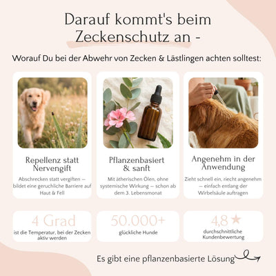 Infografik: ZecOFF Zeckenschutz für Hunde von FAVLY Petfood - pflanzliches Spot-on mit Hund- und Ölflasche-Bild.