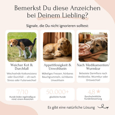 Drei Hundebilder mit Tipps zur Darmflora und FloraACTIVE Probiotika von FAVLY Petfood bei Verdauungsproblemen.
