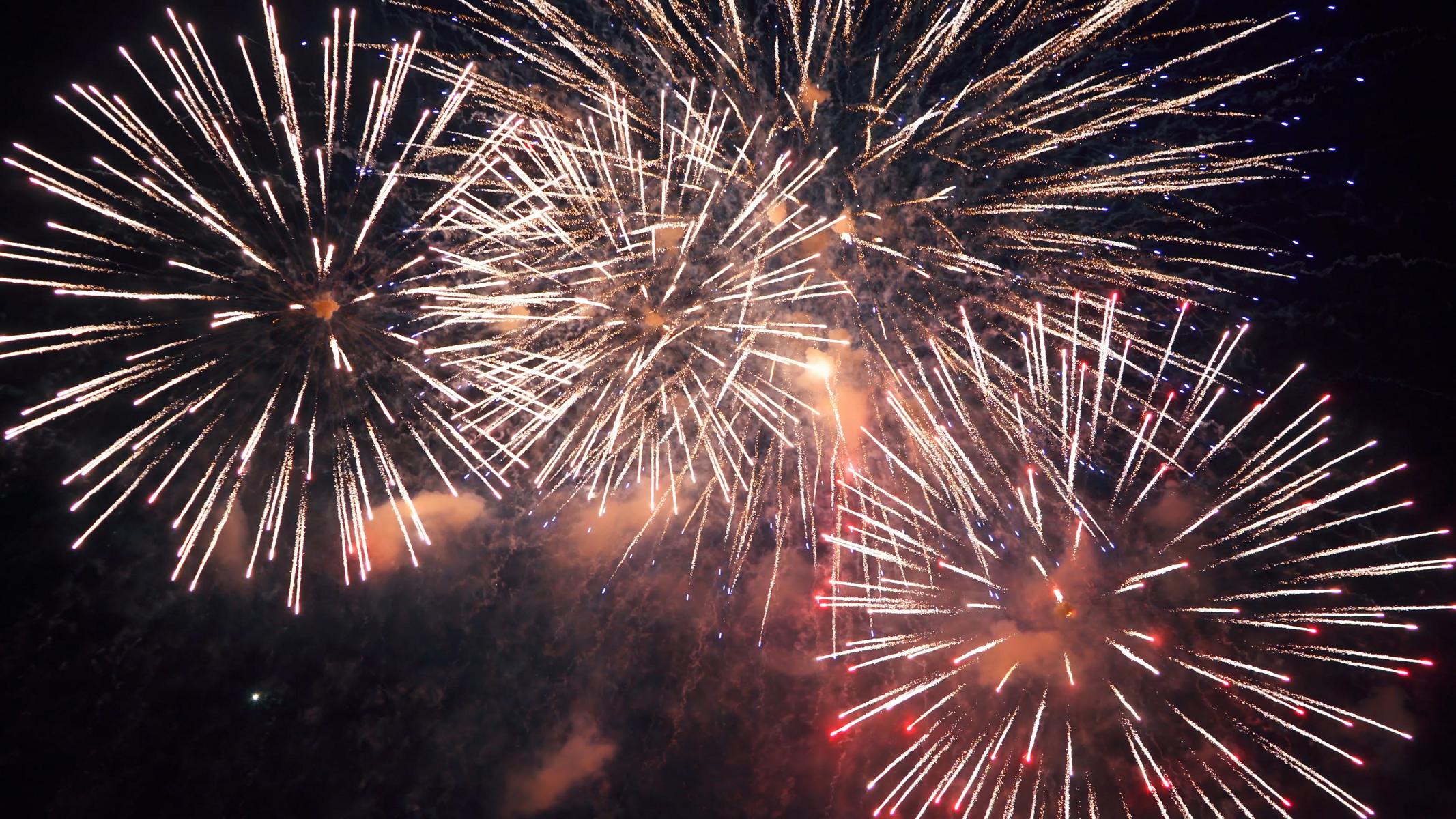 5 Tipps für ein stressfreies Silvester mit Deinem Hund!