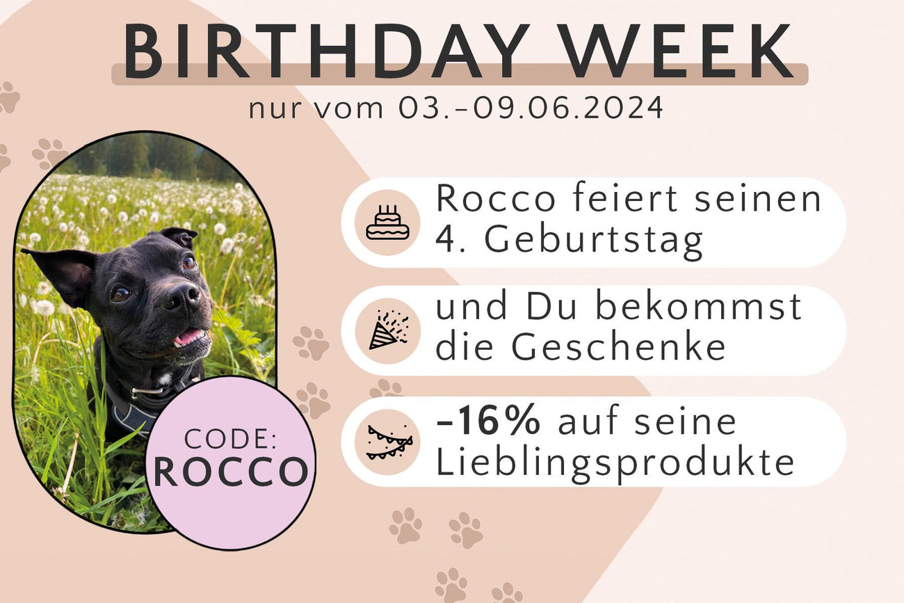 Werbebanner mit einem Foto eines glücklichen schwarzen Hundes im Gras. Text: "Geburtstagswoche 03.-09.06.2024. Rocco feiert seinen 4. Geburtstag. Code: ROCCO. -16% auf seine Lieblingsprodukte.