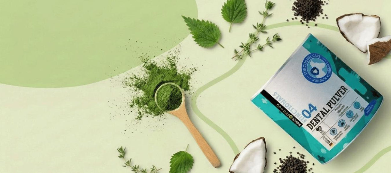 Ein Becher mit der Aufschrift "Gastro Pulver" und ein Papierbeutel mit der Aufschrift "Mobility Tablets" sind auf einem hellen Hintergrund zu sehen, aus dem Kräuter und Pulver herausquellen.