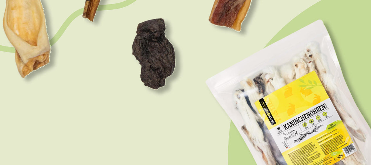 Hundeleckereien, darunter getrocknete Kauartikel und eine verpackte Tüte mit der Aufschrift "Kaninchenohren", sind auf einem grünen Hintergrund mit abstrakten geschwungenen Linien angeordnet.