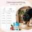 Fütterungstipps für erwachsene Hunde, mit FAVLY Petfood Pute mit Quinoa, Rote Beete & Fenchel.