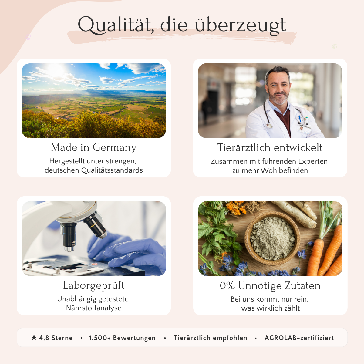 Vier Kisten: LongV+, ein lächelnder Tierarzt, Hände mit Handschuhen im Labor und die natürlichen Zutaten für Hundefutter von FAVLY Petfood.