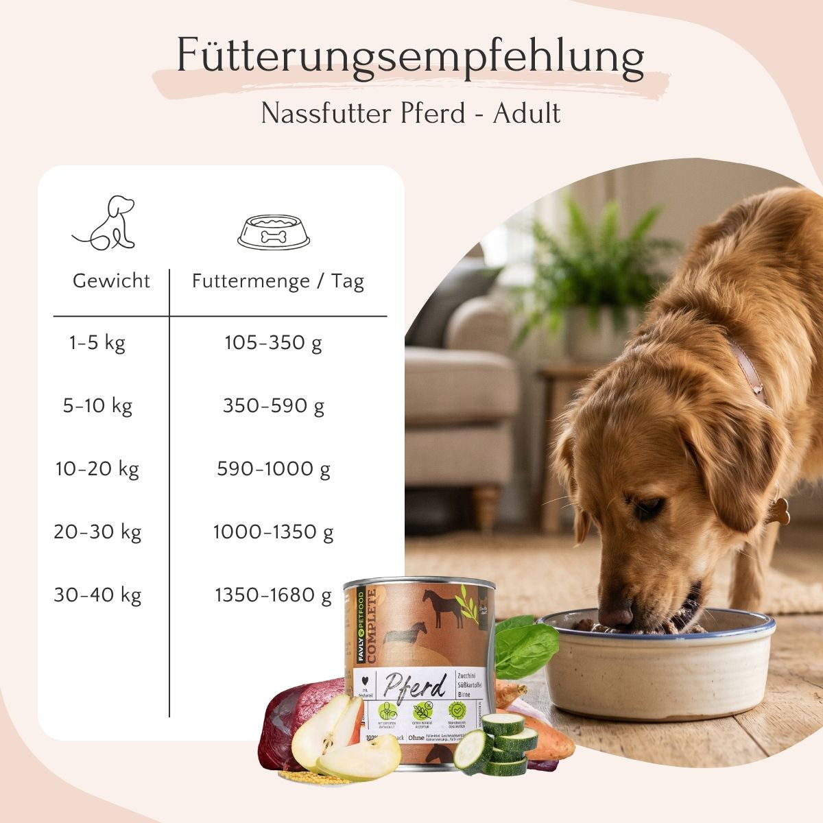 Ein Goldhund frisst FAVLY Petfood Pferd mit Zucchini; die Tabelle zeigt die Fütterung nach Gewicht des Hundes.