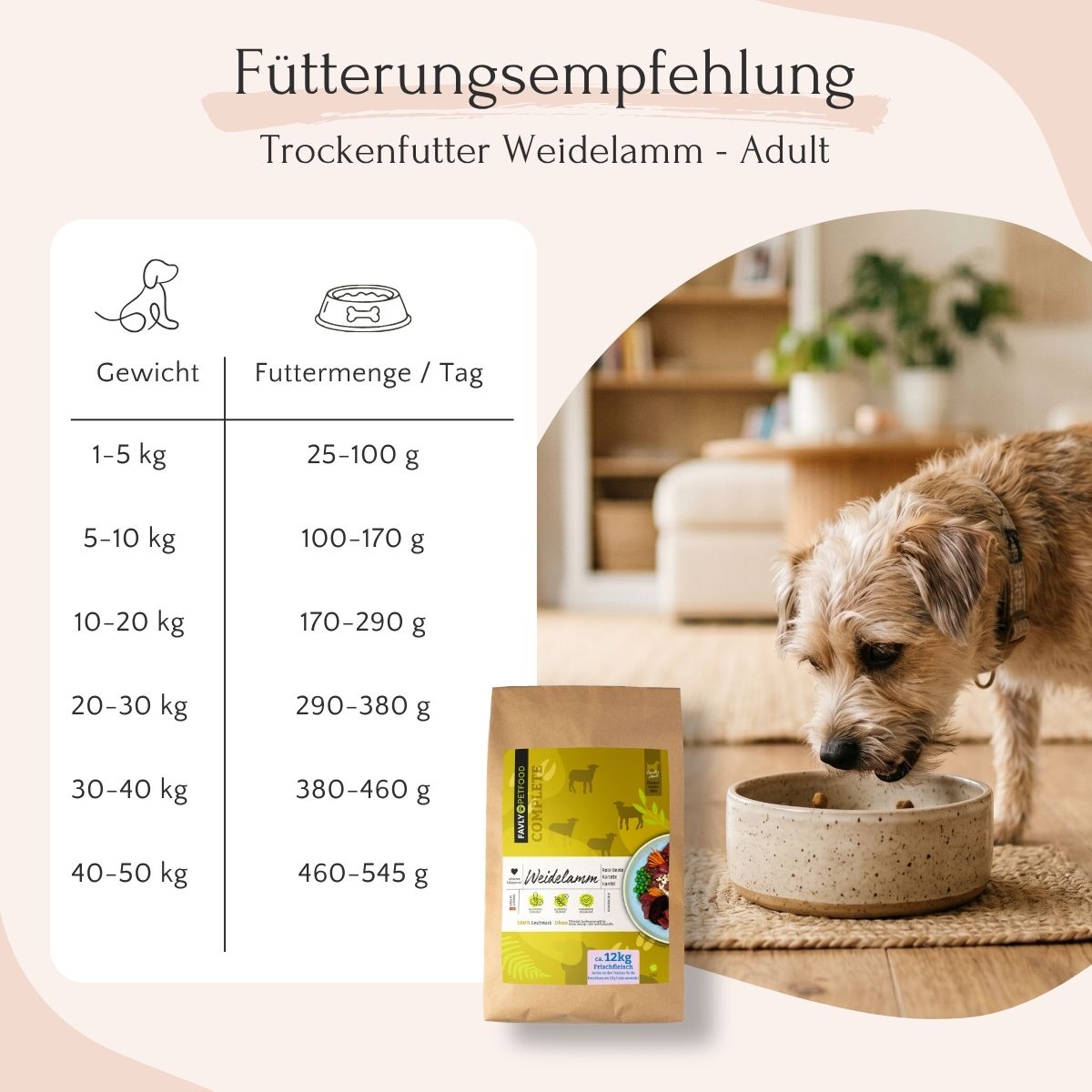 Erwachsener Hund frisst FAVLY Petfood Weidelamm mit Rote Beete, Karotte & Hanföl, Futterbeutel auf Tisch in gemütlichem Zimmer.