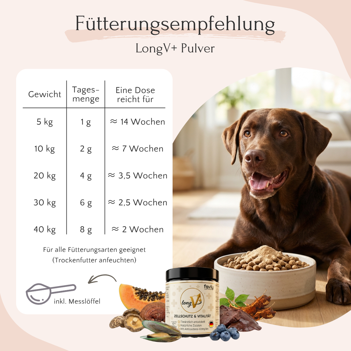 Brauner Hund auf dem FAVLY-Futternapf; LongV+-Tabelle und Zutaten von „Zellschutz Hund“ im Display.