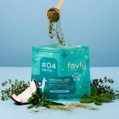 Mit einem Holzlöffel wird „DENTAL Pulver“ von FAVLY Petfood über eine türkisfarbene Verpackung gestreut, die Kräuter und Kokosnuss enthält.