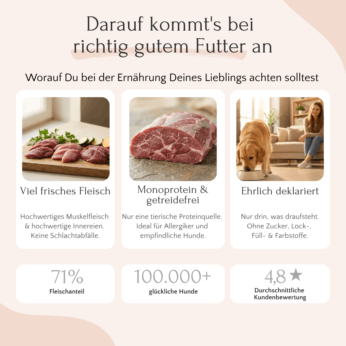 Auf drei Informationskarten sind „FAVLY Petfood Pferd mit Zucchini, Süßkartoffel & Birne“, ein Napf und eine Frau mit ihrem Hund abgebildet.