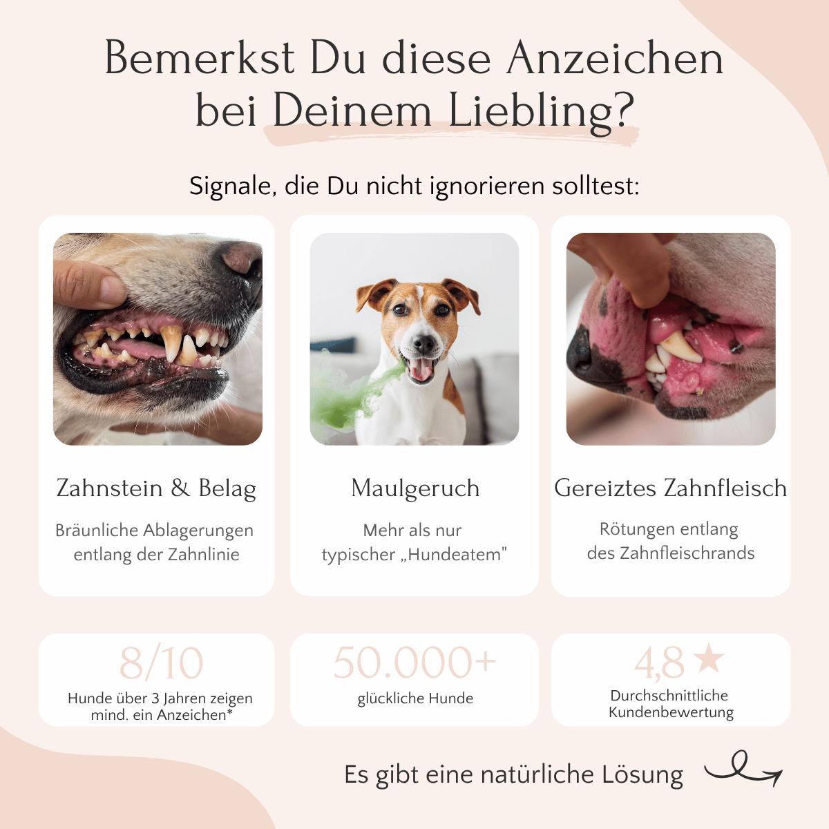 Drei Hundebilder vor Verwendung von FAVLY Petfood DENTAL Pulver gegen Zahnbelag, Maulgeruch, Zahnfleischreiz.