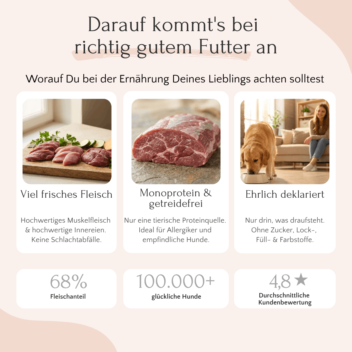 Drei Verpackungen: FAVLY Petfood Wild mit Amaranth, Brokkoli und Leinöl – Monoprotein, getreidefrei, ehrliche Angaben auf den Etiketten.