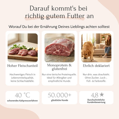 Infografik: FAVLY Petfood Weidelamm mit Rote Beete, Karotte & Hanföl - ehrlich deklariertes Hundefutter.