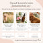 Infografik: ZecOFF Zeckenschutz für Hunde von FAVLY Petfood - pflanzliches Spot-on mit Hund- und Ölflasche-Bild.