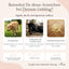 FAVLY Petfood GASTRO Pulver: Drei Hundefelder zu Verdauung, Sodbrennen oder Erbrechen, mit Bewertungssymbolen.