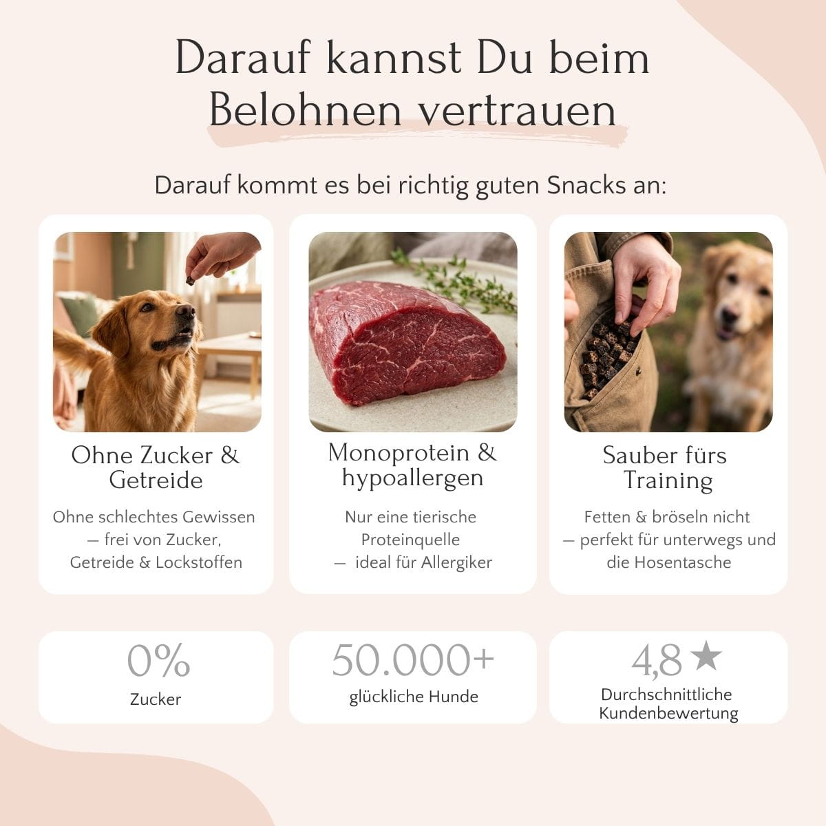 Drei PURE Bites Enten-Snacks von FAVLY Petfood: Hund, rohes Entenfleisch, Hand mit Snackbeutel.