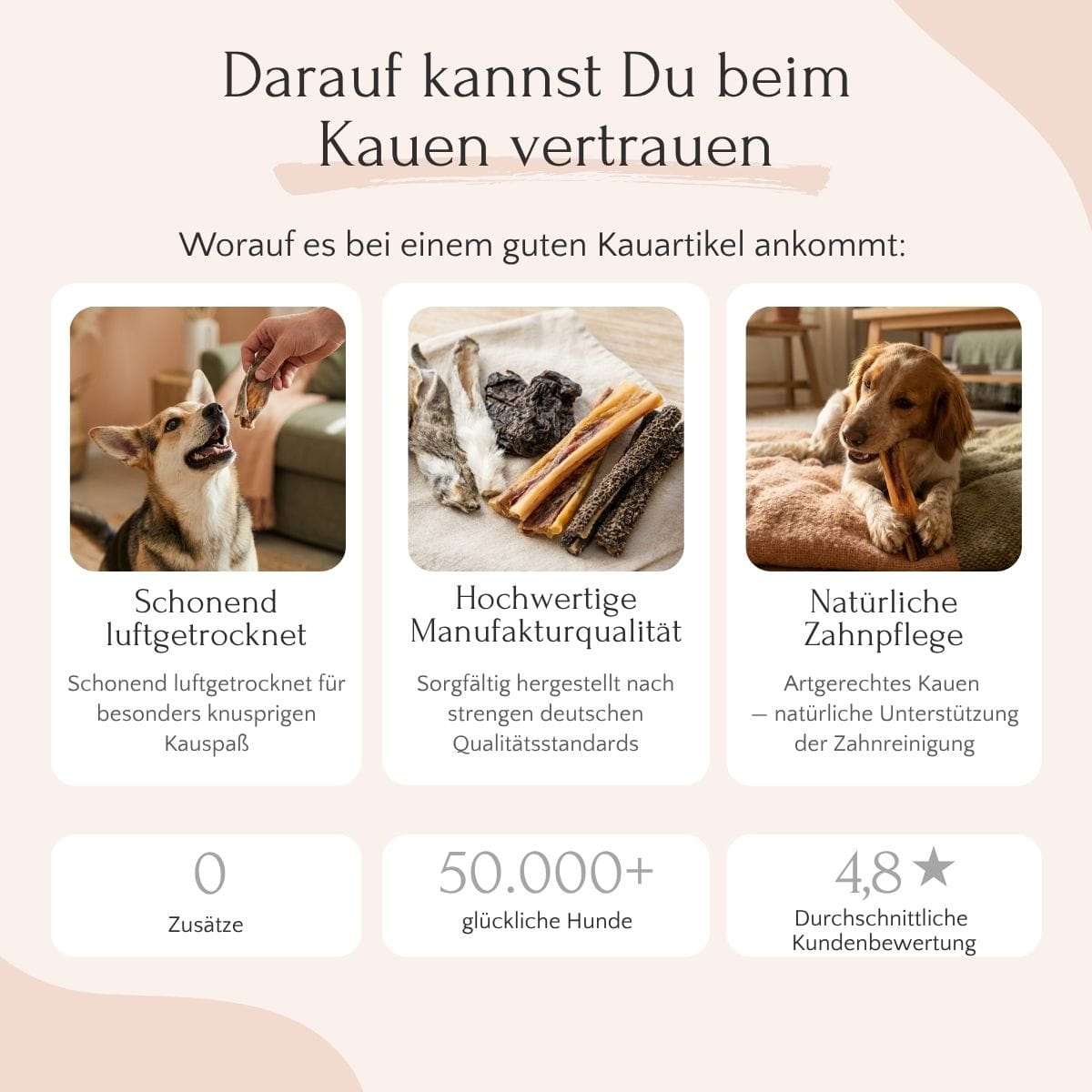 Drei Kausnacks: Der Hund frisst Sticks und kaut FAVLY Petfood Kaninchenohren mit Fell (360 g); Informationen zur Qualität.