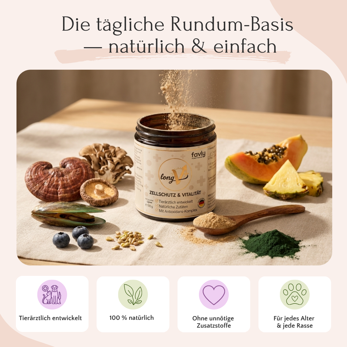 Auf dem Tisch steht ein Glas „LongV+“ von FAVLY Petfood mit einem Holzlöffel darin.