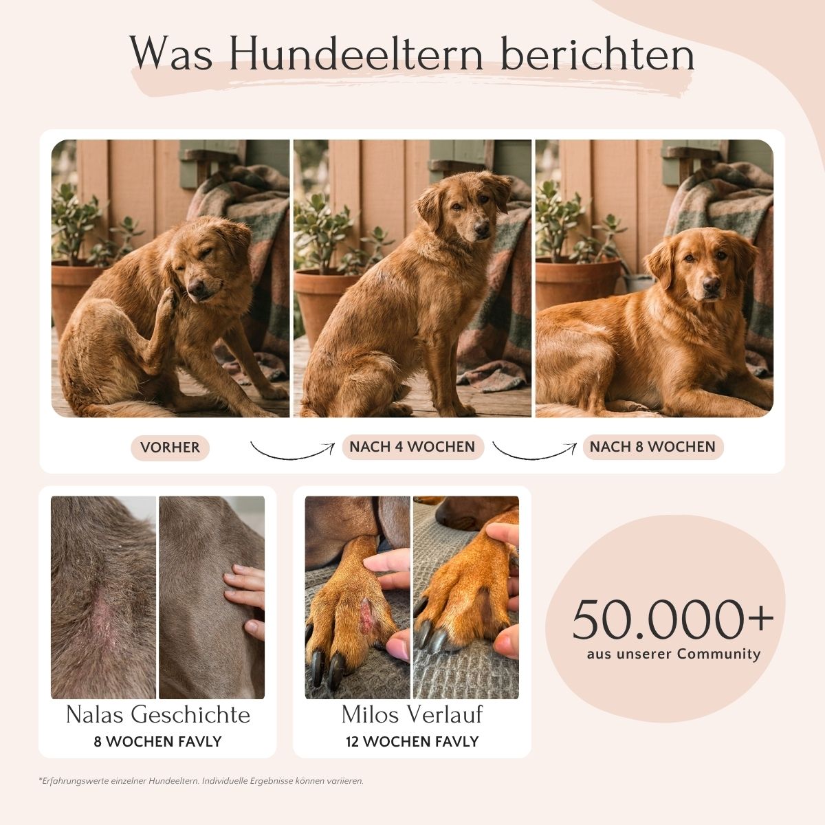 Dreiteiliges Vorher-Nachher-Bild eines Hundes mit Haut- und Fellverbesserung durch FAVLY Freiland-Iberico.