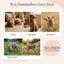 Vorher-nachher-Bilder: Community teilt Erfolge mit FAVLY Petfood GASTRO Pulver - Sodbrennen & Grasfressen.