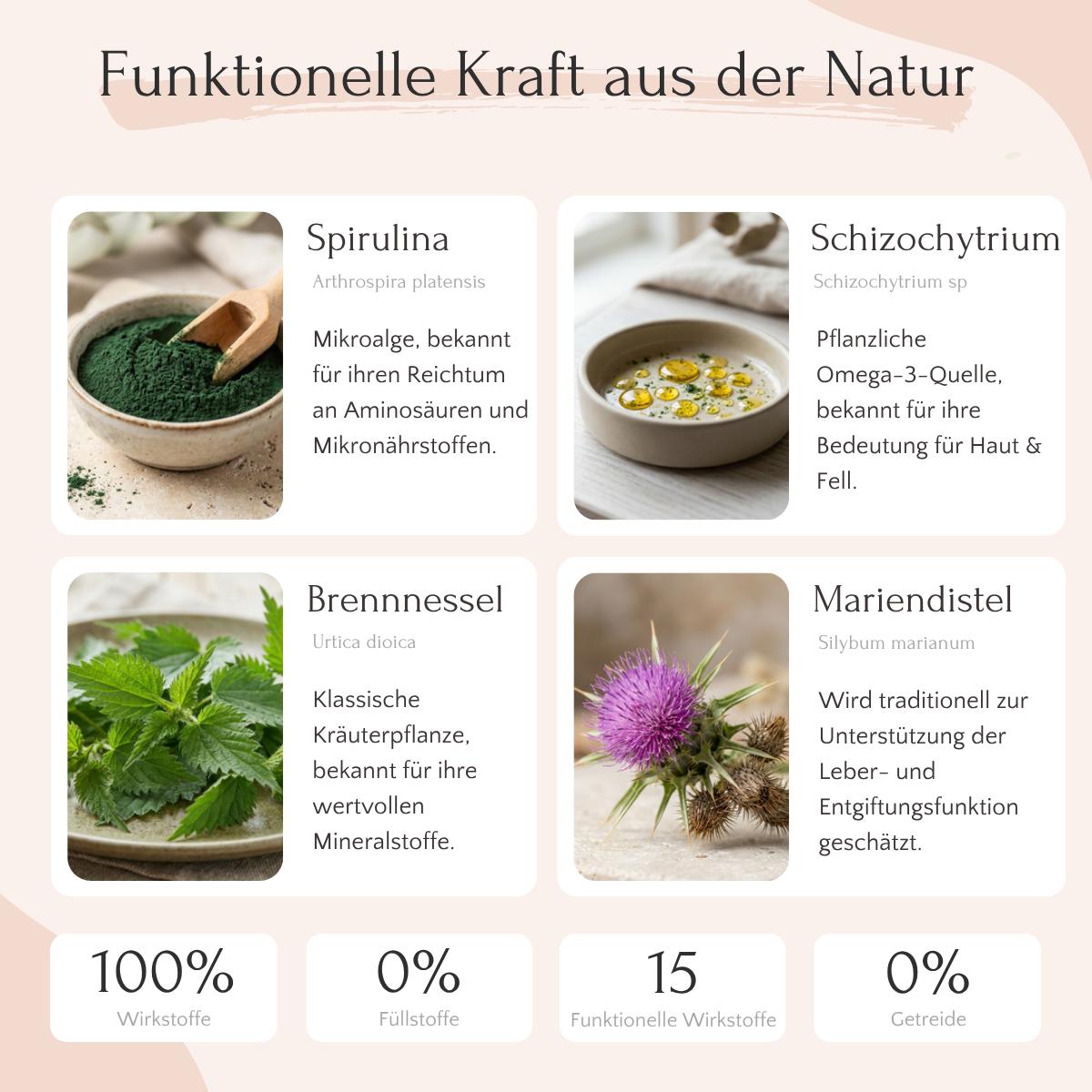 HEPASKIN Pulver von FAVLY Petfood: 4 natürliche Zutaten für Haut, Fell & Entgiftung - mit Icons und Infos.