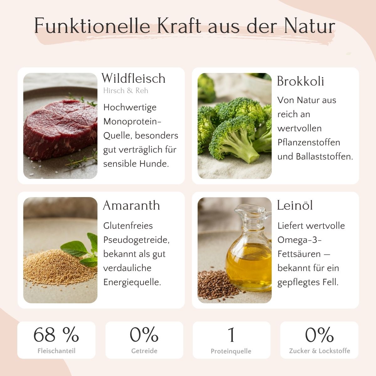 Vier Boxen zeigen FAVLY Petfood Wild mit Amaranth, Brokkoli & Leinöl Nassfutter plus Nährwertangaben.