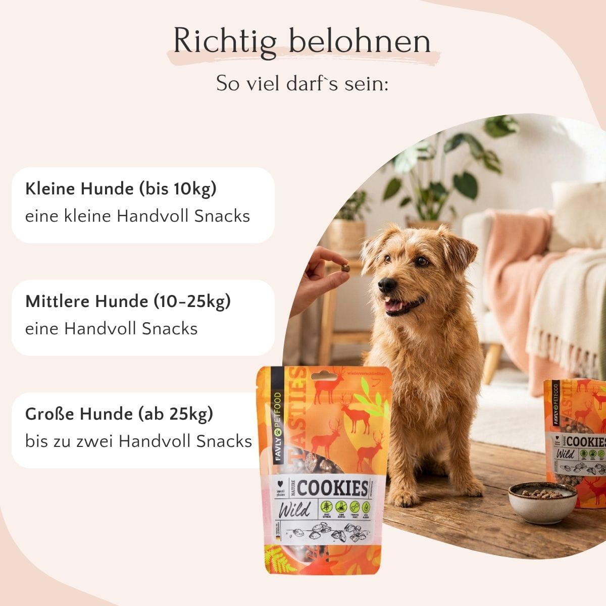 Ein glücklicher Hund sitzt neben einer Person mit „FAVLY Petfood Nature Cookies Wild“; abgebildet ist ein Snack-Ratgeber für Hunde aller Größen.