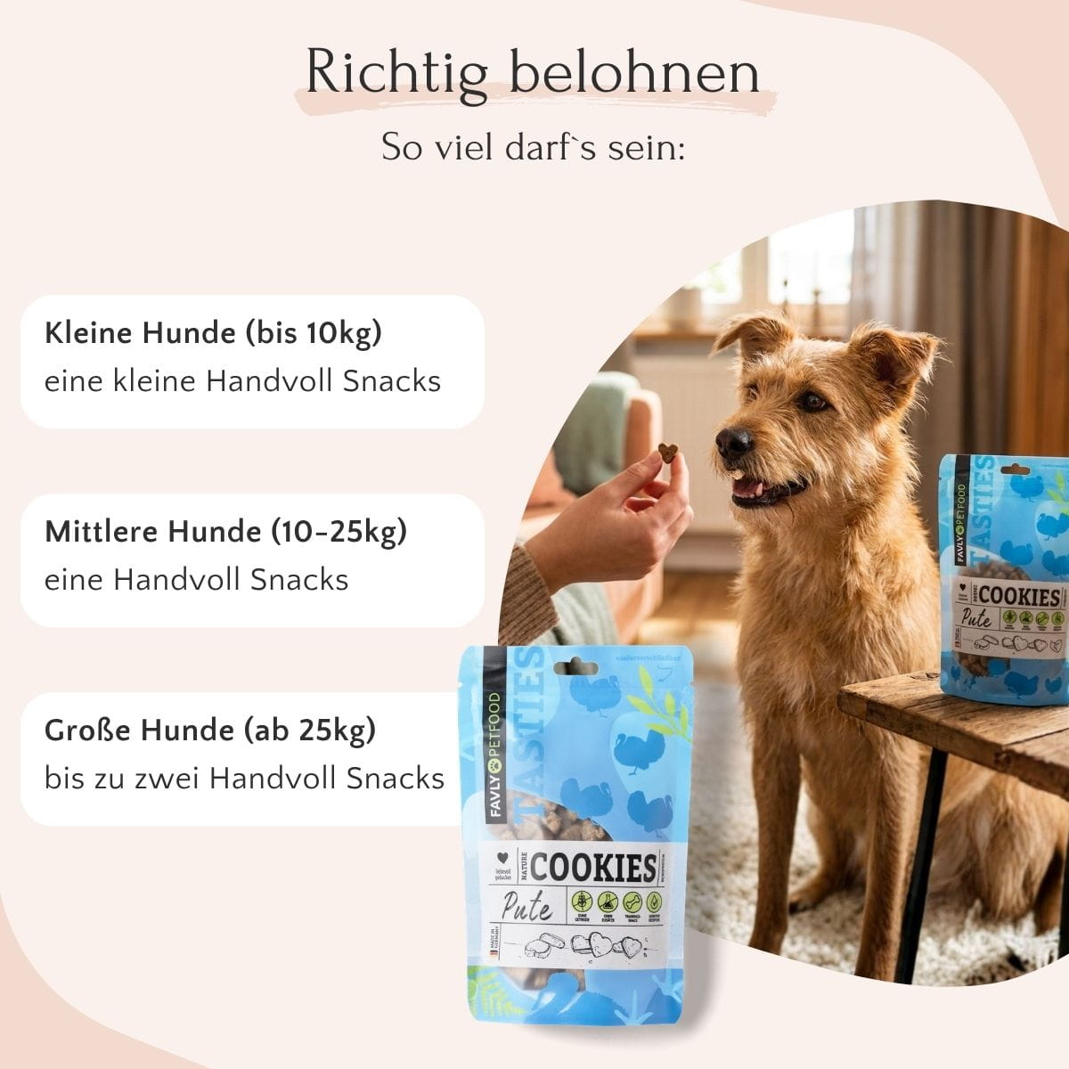 Eine Person hält FAVLY Petfood Nature Cookies Pute vor einem glücklichen Hund; die Portionsgrößen sind links zu sehen.