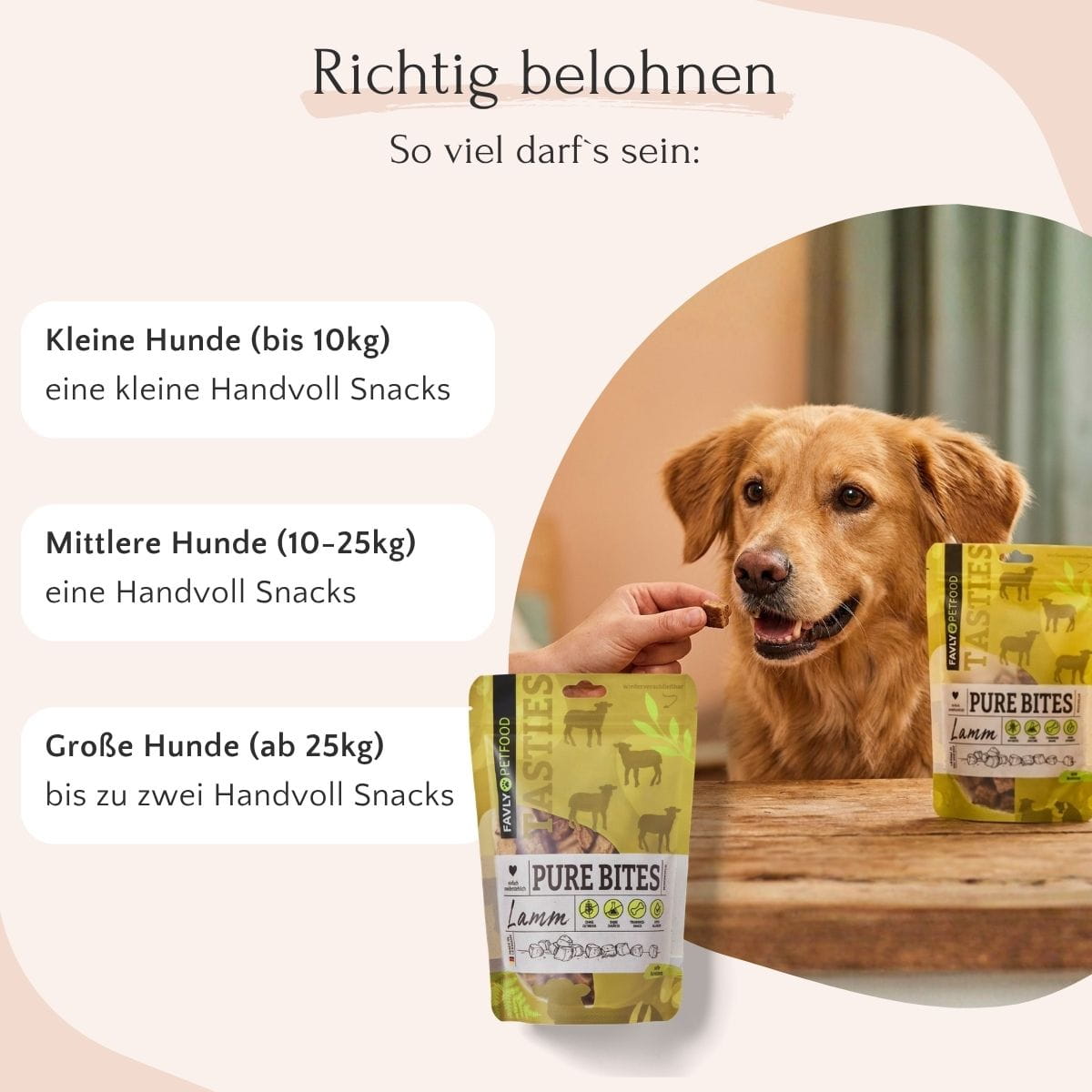 Ein glücklicher Hund genießt FAVLY Petfood PURE Bites Lamm; die Portionsgrößen variieren je nach Hundegröße.