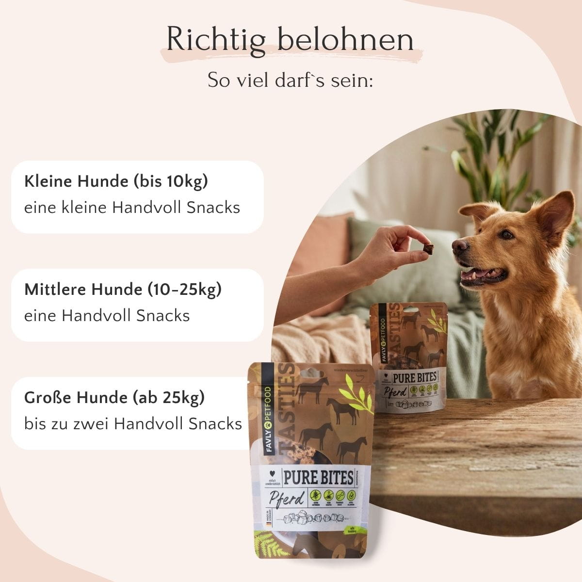 Ein Hund sitzt neben einem Tisch und beäugt ein Leckerli neben der Packung „FAVLY Petfood PURE Bites Pferd“.