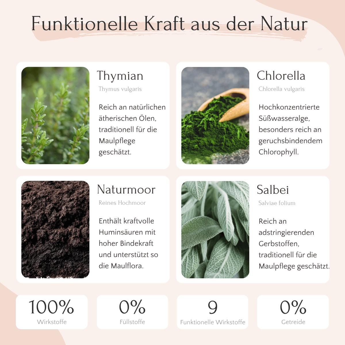 FAVLY Petfood DENTAL Pulver: Infos zu Thymian, Chlorella, Huminsäuren & Salbei für Maulhygiene und Zahnbelag.