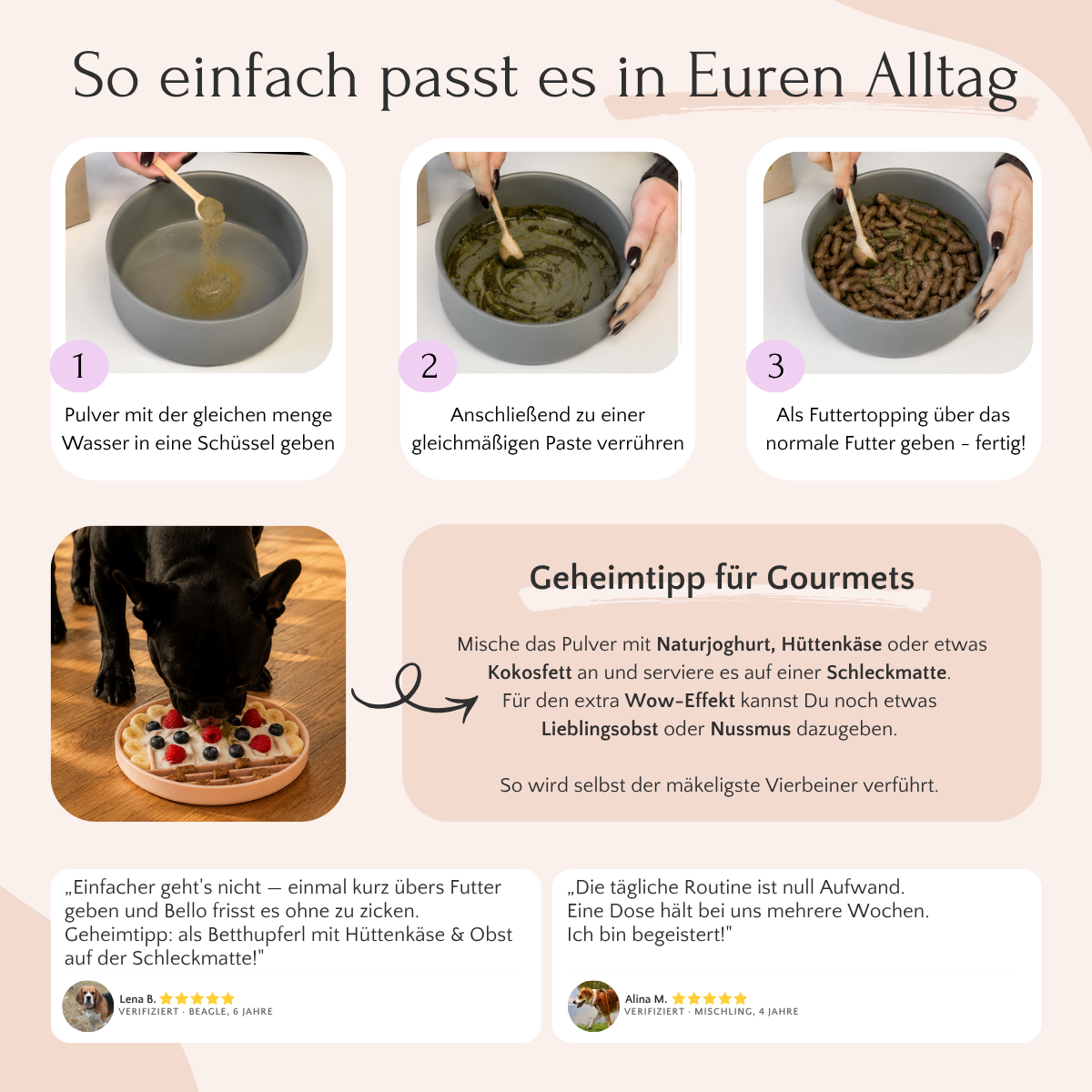 Mischen Sie das LongV+-Pulver mit Wasser, rühren Sie es um und geben Sie es unter das Futter Ihres Hundes. Servieren Sie es im Napf. FAVLY Petfood.