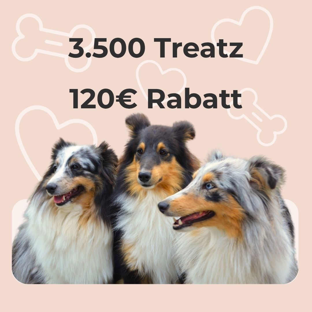 3500 Treatz ergeben 120€ Rabatt