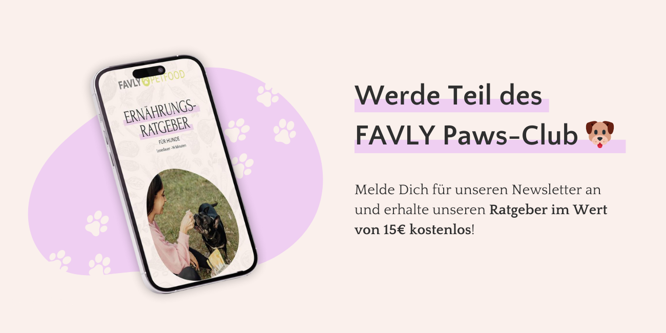 Ein Smartphone mit einem Ernährungsratgeber und einem Welpen. Text: „Werde Teil des FAVLY Paws-Club“ und melde dich für den Newsletter an.
