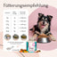 Ein glücklicher Hund sitzt neben einem gefüllten Napf; daneben sind FloraVITAL Pulver von FAVLY Petfood und eine Futtertabelle abgebildet.