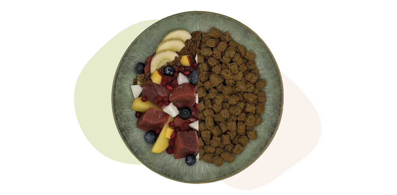 Eine Schüssel mit rohem Fleisch, Obst und Gemüse auf der einen Seite und Trockenfutter auf der anderen.