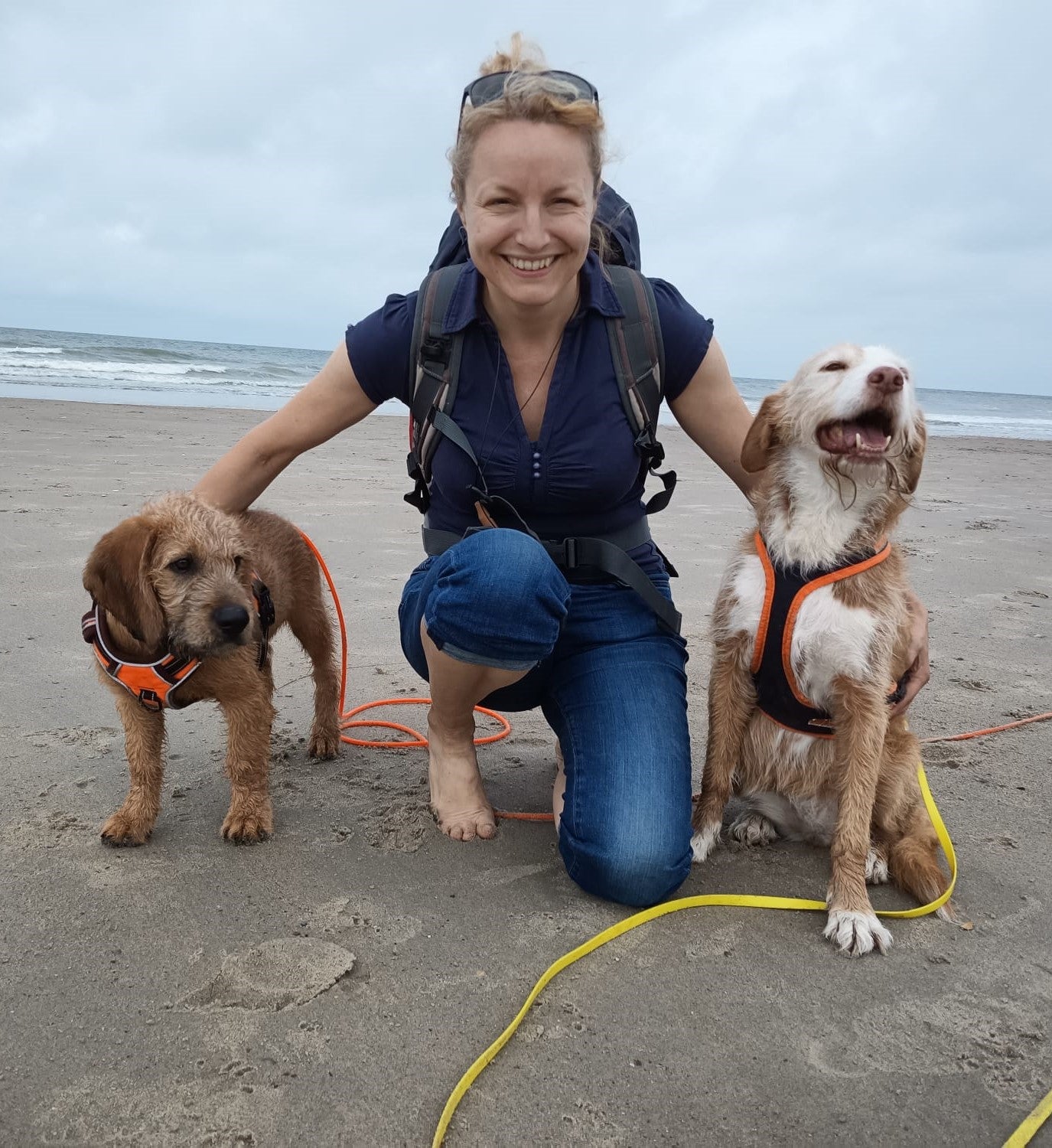 Eine Frau kniet lächelnd am Strand und hat neben sich zwei Hunde mit Geschirren. Ein Hund sitzt, der andere steht.