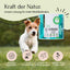 Ein glücklicher Hund läuft auf Gras; Relax Pulver - Sonderangebot von FAVLY Petfood unterstützt den Stressabbau Ihres Hundes.