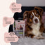 Ein Hund sitzt neben einer Packung „Limited Edition - Nature Cookies @frauchen.backt“ von FAVLY Petfood. Der deutsche Text hebt die hervorragende Qualität und Anerkennung des Produkts hervor und bewirbt seine natürlichen Zutaten als gesunde Leckerei für geliebte Haustiere.