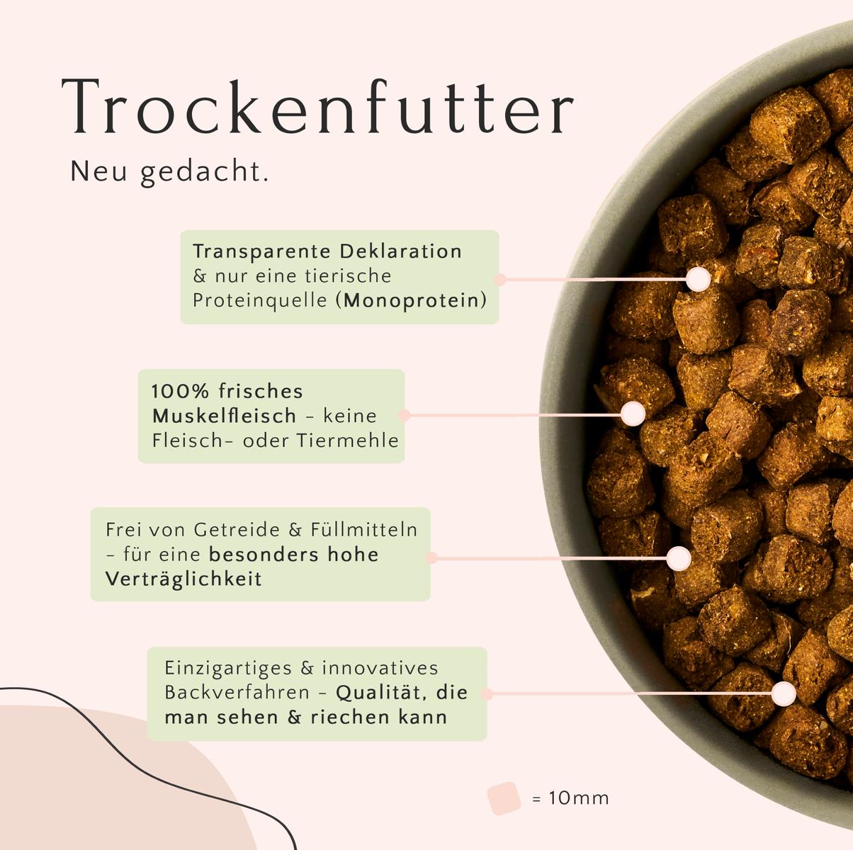 Bild einer mit Trockenfutter Wild mit Pastinake, Preiselbeeren & Kokos von FAVLY Petfood gefüllten Schüssel, die die hochwertigen Inhaltsstoffe und Vorteile hervorhebt. Perfekt für ernährungsbewusste Hunde dank getreidefreier Rezeptur.
