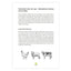 Der FAVLY Petfood Futterguide – E-Book von FAVLY Petfood zeigt auf einer Seite Abbildungen eines Huhns, eines Schweins und einer Kuh und erläutert das Verstehen und Erkennen von Futterdeklarationen.